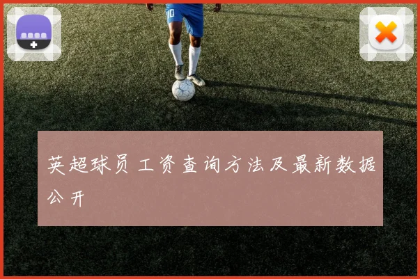 英超球员工资查询方法及最新数据公开