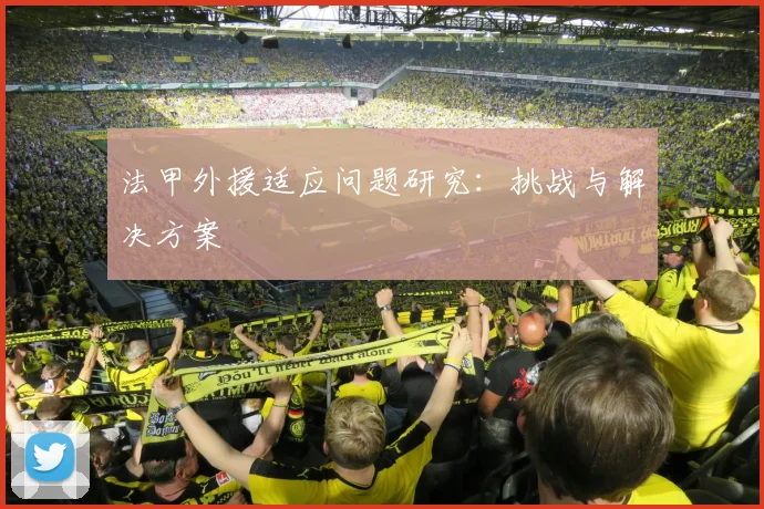 法甲外援适应问题研究：挑战与解决方案